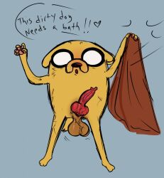 adventure_time anthro balls blush bulldog canid canine canis cartoon_network cumcadaver dialogue domestic_dog flashing genitals heart hi_res jake_the_dog knot male male_only mammal mastiff molosser nude penis slightly_chubby solo toony towel