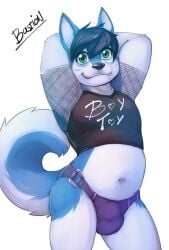 anthro bastionshadowpaw belly blue_body blue_fur bulge canid canine canis chubby_male clothing crop_top detailed_bulge domestic_dog fur girly hi_res hybrid male mammal navel shirt slightly_chubby solo submissive submissive_male topwear underwear wintie wolf wolfdog