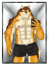 abs absurd_res al1cceee1 anthro barrel_(live-a-hero) bulge canid canine canis cellphone clothing detailed_bulge grin hi_res lifewonders live-a-hero male mammal mirror muscular muscular_anthro muscular_male pecs phone selfie smartphone smile solo underwear video_games wolf