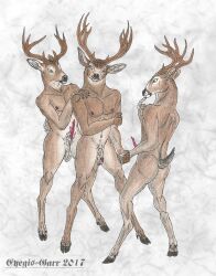 animal_genitalia animal_penis anthro balls capreoline cervid cervine_antlers cervine_penis ears_outwards erection eyegis-garr genitals group hand_holding hand_on_shoulder hi_res hooved_digitigrade hooves male male/male mammal mule_deer penis pivoted_ears scut_tail short_tail simple_background trio white-tailed_deer