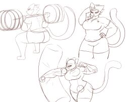 bench_press big_ass big_breasts breasts dewwydartz female female_incineroar female_only freya_(dewwydartz) game_freak gym_shorts incineroar nintendo pokemon punching punching_bag shirt simple_background sketch solo white_background