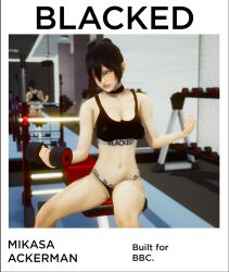 1girls 3d asian asian_female attack_on_titan blacked blacked_clothing english_text female female_only inusanjp mikasa_ackerman solo text