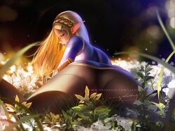 ass big_ass big_butt blonde_hair breath_of_the_wild hylia liang_xing nintendo princess_zelda the_legend_of_zelda the_legend_of_zelda:_breath_of_the_wild zelda_(breath_of_the_wild)