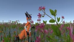 anthro anthro_only canid fox fur furry furry_only male_only orange_fur rexouium tagme vr_media vrchat vrchat_avatar wenge white_fur