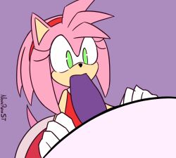 2022 2d_animation amy_rose animated anthro big_the_cat clothing deepthroat duo erection eulipotyphlan fellatio female genitals gloves green_eyes hair handwear hedgehog loop male male/female mammal nova_rain oral penile penis pink_body red_clothing sega sex short_playtime signature simple_background simple_coloring sonic_(series) sonic_the_hedgehog_(series) video_games