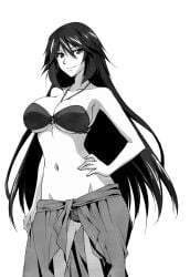 orimura chifuyu from infinite stratos