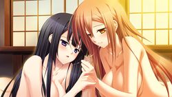 Blush Rule 34 Image