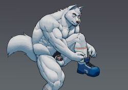 abs anthro balls biceps canid canine canis chastity_device clothing facial_hair flaccid footwear footwear_only genitals goatee hi_res looking_at_genitalia looking_at_penis male mammal mostly_nude muscular muscular_thighs pecs penis pubes redwolfalang shoes shoes_only simple_background socks solo tying_shoes wolf