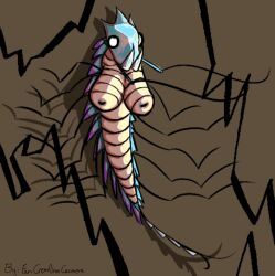 (sanderson) anthro blueish boobs brandon cremling cremlino crustacean insect sanderson