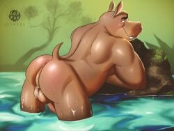 anthro anus ass balls big_ass big_balls big_butt big_male big_penis big_thighs doggy_style dreamworks hippopotamid madagascar_(series) male male_only mammal moto_moto muscular muscular_male overweight overweight_male rock smile solo wanting_sex water