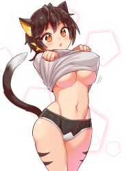 amber_eyes cat_ears cat_tail catgirl cougar1404 tagme underboob