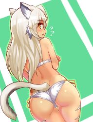 amber_eyes ass_focus blush cat_ears cat_tail catgirl cougar1404 from_behind panties tagme white_hair