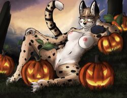 absurd_res anthro breasts felid feline felis female food fruit fur genitals halloween hi_res holidays jack-o'-lantern leaf looking_at_viewer mammal nipples nude outside plant pumpkin pussy rivka_(sausysandwich) serval smile solo spots spotted_body spotted_fur spread_legs spreading tan_body tan_fur vizelius white_body white_fur