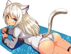 ass cat_ears cat_tail catgirl cougar1404 heterochromia laying_on_stomach panties tagme tan_skin thighs white_hair