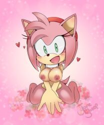 amy rose from sonic (series) by janesheep