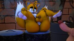 3d (Artwork) Rule 34 Image