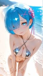 Emilia (Re:Zero) Rule 34 Image