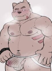 2022 anthro balls belly blush bodily_fluids bulge clothing genitals hi_res jockstrap kemono male mammal moobs musk navel nipples overweight overweight_male penis solo sweat underwear ursid whitebeast20