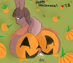 anthro anus ass blue_eyes bodily_fluids cecelia_(tsoup) clitoral_hood cum female food fruit genital_fluids genitals halloween hi_res holidays jack-o'-lantern lagomorph leporid looking_back mammal outside plant presenting presenting_hindquarters pumpkin pumpkin_butt pumpkin_patch pussy rabbit raised_tail solo thick_thighs trippybunny