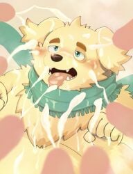 absurd_res anthro begging begging_pose bird_dog blush bodily_fluids bukkake canid canine canis cu_sith_(tokyo_afterschool_summoners) cum cum_on_face domestic_dog erection floppy_ears fur genital_fluids genitals golden_retriever green_eyes group hi_res hunting_dog lifewonders looking_pleasured male male/male mammal overweight penis pose retriever scarf tokyo_afterschool_summoners tongue tongue_out video_games yellow_body yellow_fur zuboboz