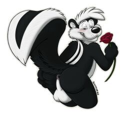 2022 alpha_channel anthro anus ass backsack balls bedroom_eyes black_body black_eyes black_fur blush butt_grab eyebrows flower fur genitals glistening glistening_nose half-closed_eyes hand_on_butt hi_res holding_flower holding_object holding_rose huffaromas label looking_at_viewer looking_back looney_tunes male mammal mephitid multicolored_body multicolored_fur narrowed_eyes pepé_le_pew plant raised_eyebrows raised_tail rose_(flower) seductive simple_background skunk sniffur solo spread_anus spread_butt spreading stripes teeth toothy_grin transparent_background warner_brothers whisker_spots white_body white_fur