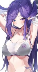 1girls armpits arms_behind_back arms_behind_head bandage bandaged_arm belly_button big_breasts blush_lines bra cleavage dragon_girl hair_wings head_wings heterochromia navel nijisanji nijisanji_en ponytail purple_hair ruru_nnnn see-through see-through_clothing selen_tatsuki solo solo_female solo_focus sports_bra virtual_youtuber