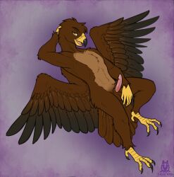 2019 accipitrid accipitriform anthro avian avian_penis balls beak bird bird_feet brown_body claws countershade_torso countershading eagle erection eyebrows feathered_wings feathers genitals golden_eagle hand_behind_head head_tuft hi_res lichfang looking_at_viewer lying male nude on_back open_mouth pinup pose seductive simple_background solo talons toe_claws true_eagle tuft wings yellow_eyes