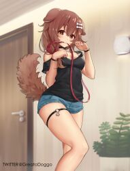 1girls black_shirt bone_hair_ornament bracelets breasts brown_eyes brown_hair choker denim_shorts dog_ears dog_girl dog_tail door greatodoggo hair_ornament hololive hololive_gamers hololive_japan indoors inugami_korone jean_shorts leash leash_in_mouth light-skinned_female light_skin looking_at_viewer medium_breasts medium_hair off_shoulder plant shirt shorts shortshorts standing thigh_strap virtual_youtuber