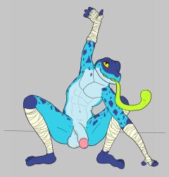 amphibian anthro arm_wraps athletic athletic_anthro athletic_male balls blue_body blue_skin crouching erection frog genitals green_tongue hi_res humanoid_genitalia humanoid_penis leg_wraps long_tongue male nude penis poison_dart_frog raised_arm ranno rivals_of_aether solo speence_(artist) tongue video_games wraps yellow_eyes