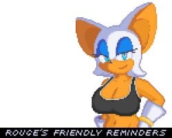 1girls advice animated animated_gif anthro big_breasts bouncing_breasts chiropteran chiropteran_humanoid cute female looking_at_viewer mobian mobian_(species) mobian_bat no_bra phoofyman pixel_art public_service_announcement rouge_the_bat rouge_the_rider sega shirt_lift sonic_(series) sonic_the_hedgehog_(series) tagme talking_to_viewer wholesome