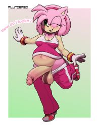 1futa absurdres amy_rose anthro big_penis big_testicles blush casual casual_erection casual_exposure dialogue english_text erection eulipotyphlan furry futa_only futanari genitals hedgehog highres humanoid_genitalia humanoid_penis mammal one_eye_closed penis pinup plundered pose pregnant pregnant_futa pregnant_futanari sega solo solo_futa sonic_(series) sonic_riders testicles text wink