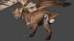 animal_genitalia animal_pussy avian canine_pussy female feral genitals gryphon hi_res mythological_avian mythology pussy racf92 solo untied_verbeger