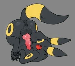 anus balls black_body black_fur bodily_fluids canid canine darkluxia eeveelution erection feral fur furry generation_2_pokemon genital_fluids genitals grey_background knot looking_at_viewer looking_back male mammal nintendo pawpads penis pokemon pokemon_(species) precum simple_background solo tail umbreon upside-down