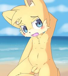 anthro beach boy male tagme watermelon_(artist)