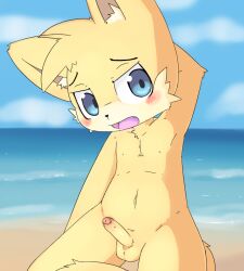 anthro beach boy male tagme watermelon_(artist)