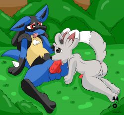 anthro balls canine fellatio furry gay hi_res lucario male male_only minccino oral oral_sex pokemon pokemon_(species) rouarts tagme veiny_penis