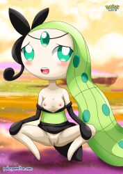 meloetta from nintendo by bbmbbf