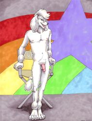 1boy 2003 anthro ayame_emaya canid canine femboy flaccid flaccid_penis furry girly male nipples penis poodle testicles