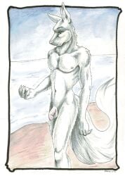 1boy 2003 anthro ayame_emaya beach canid canine flaccid flaccid_penis furry german_shepherd male nipples ocean outdoors outside penis solo solo_male testicles wather