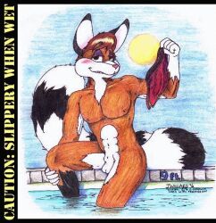 1990s 1996 20th_century anthro anthro_focus anthro_only furry furry_focus furry_only jessica_willard male_focus male_only naked naked_male nipples nude nudity outdoors outside pool ringtail ringtailed_cat sheath sitting solo solo_male sun swimming_trunks tail testicles water