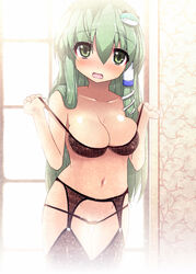 black_bra black_legwear black_panties black_thighhighs bra frog garter_belt green_eyes green_hair hair_ornament lingerie long_hair navel oborozuki panties rougetsu_(eclipse) sanae_kochiya snake solo thighhighs touhou underwear underwear_only