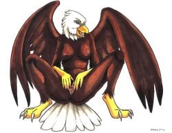 1girls 2003 anthro avian ayame_emaya bald_eagle bird breasts claws eagle female furry legs_spread nipples pussy spread_legs vagina wings