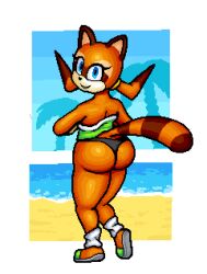 1girls anthro beach big_ass big_butt bubble_butt female furry marine_the_raccoon panties pixel_art procyonid skirt_lift solo sonic_(series) sonic_rush_adventure sonic_the_hedgehog_(series) upskirt xdecadence069