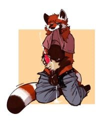 absurd_res ailurid animal_genitalia animal_penis anthro balls bodily_fluids canine_penis clothing cum genital_fluids genitals hi_res lambda_(character) male mammal masturbation messy muttzone penis red_panda simple_background solo