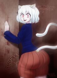 neferpitou from hunter x hunter by ignantastro