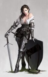 1girls armor dongho_kang female female_knight medieval_armour shield sword weapon