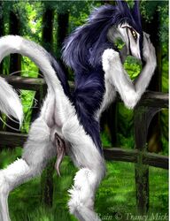 anus back color day from_behind fur furry looking_back multicolored_hair outdoors presenting pussy rain_(sergal) rain_silves sergal smooth_skin solo tail tree yellow_eyes