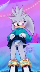 1boy anthro blush boots clothed crossdressing erection femboy flyttadig gay gloves hedgehog lifting_skirt male male_only mammal mobian_(species) panties presenting silver_fur silver_the_hedgehog solo solo_male sonic_(series)