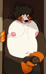 anthro balls belly bernese_mountain_dog black_penis bodily_fluids canid canine canis cum domestic_dog genital_fluids genitals hi_res looking_aside male mammal molosser mountain_dog navel nipples overweight overweight_anthro penis solo swiss_mountain_dog tongue tongue_out zetameow