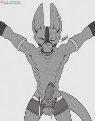 anthro balls beerus big_penis boner bound bound_wrists dragon_ball dragon_ball_super erection felid feline feline_humanoid furry gay god_of_destruction hairless_cat male male_only monochrome muscles penis solo solo_male sphynx_(cat) spiritd tail